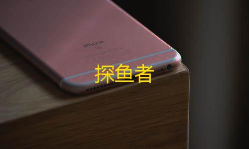 脑机接口探鱼者